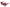 WW | Exquisite Damen Sonnenbrille Mit Blumenmuster