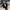 WW | Damen Lederjacke Mit Box Cut