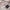WW | Komfort Damen Turnschuhe Rochele