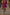 WW | Tanze Durch Die Nacht Pailletten Feder Party Kleid