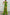 WW | Rosiedress Strapless Rose Detail Hoher Schlitz Bedrucktes Chiffon Maxi-Kleid