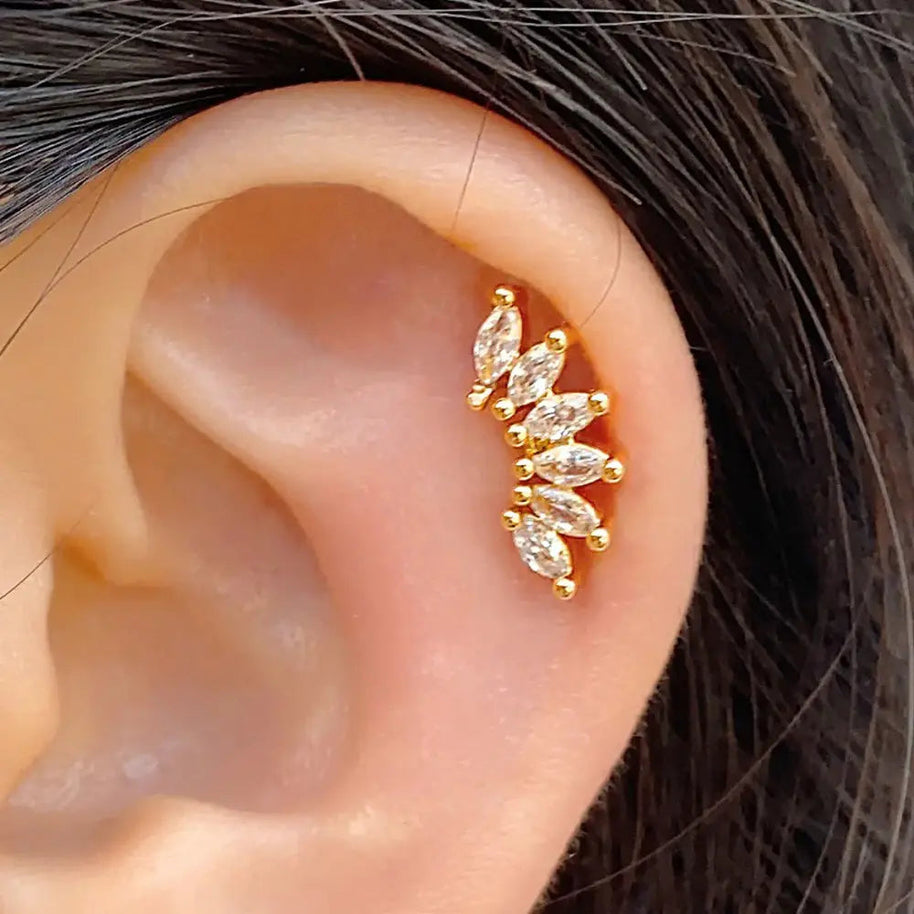 WW | Tragus Helix 925 Silber Ohrringe Für Damen