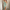 WW | Das Ultimative Party Kleid