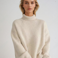 WW | Pullover mit Rollkragen