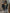 Modisches funkelndes Jacke