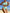 WW | Bikini Fleur - Elegant und Sexy