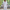 WW | Eleganter Anzug mit Hemd und Hose