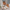 Schritte | Stilvoll und Bequem: Damen Slippers