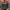 WW | Stilvolle Herbst Retro Klassische Jacke für Frauen