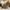 Bestickte Vintage-Stiefel