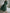 Celestine™ - Damen Maxikleid