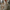 WW | Maxi Kleid Mit Blumenmuster