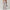 WW | Sophistizierte Fitness Enganliegende Flare Yoga-Hose
