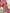 WW-Bikinis mit floralem und geometrischem Druck