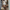 WW | Western Stil Stiefel Damen mit Spitzem Kopf und Blockabsatz, Cowboy Stiefel Damen