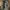 WW | Edle Herrenjacke