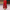 WW | Elegantes Mode Baumwollkleid