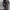 WW | Chinos Chic Für Herren