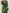 FlairFernweh Sommerrobe