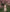 Blumiges Corsagenkleid