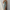 WW | Elegante und Zeitlose Kleid