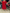WW | Stilvolles Kleid Mit Feiner Spitzenverzierung