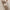 WW | Chic Damen Bronzing Langärmelig Slim Fit Kleid