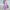WW | Sanftes Pink Leinenkleid