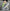 WW - Laufschuhe Sportschuhe Sneakers | Sneakers sind leichte Damenschuhe