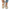 WW | Bequeme Schuhe mit Riemen