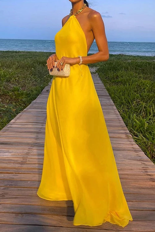 WW | Rosiedress Ketten-Halter Offener Rücken Maxi Swing Kleid