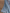 WW | Einfarbige Spitzenbluse