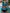 WW | Eleganter Sommer 2024 Bikini