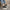 WW | Moderne Plattform Sneaker für Damen