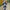 Damen Eleganter Fransen-Schal aus weichem Material mit geometrischem Muster WW