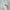 WW | teiliges sportliches Set - trendige Damen Sweatjacke mit Jogginghose