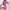 WW | Blumiges A-Linien-Kleid