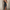 WW | Das Ultimative Party Kleid