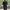 WW | Eleganter Anzug mit Hemd und Hose