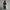 WW | Cocktailkleid für Frauen Stilvoll