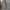 WW | Trendiges Design - High-Waist-Paillettenanzug