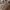 WW | Maxi Kleid Mit Blumenmuster