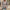 – Strickpullover aus Baumwolle