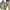 WW | Stilvolle Multifunktionale Wasserdichte Jacke (+ Kostenlose Hose)