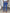 WW | Patchwork Hose Mit Gürtel