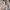 – Langer Wollmantel mit Kapuze