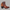 WW | Stiefeletten mit Riemendetails