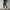 WW | Herren Cargo Hose im praktischen Design