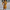 WW – Gestricktes Rollkragen-Pulloverkleid