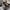 – Klobige Plateaustiefeletten